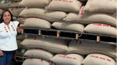 Meet the Farmers Behind our Mexico Chiapas Mayan Harvest