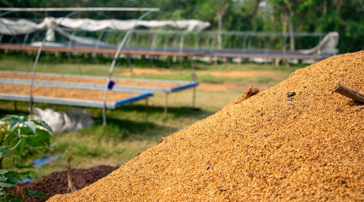 From Bean to Brew: Understanding the Journey of Your Coffee - Lanna Coffee Co.