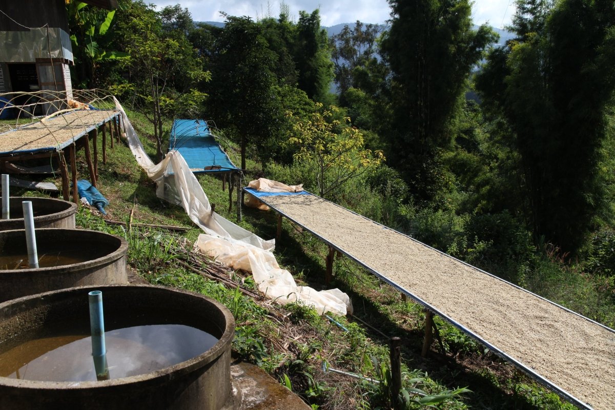 The Village of Som Poi - Lanna Coffee Co.