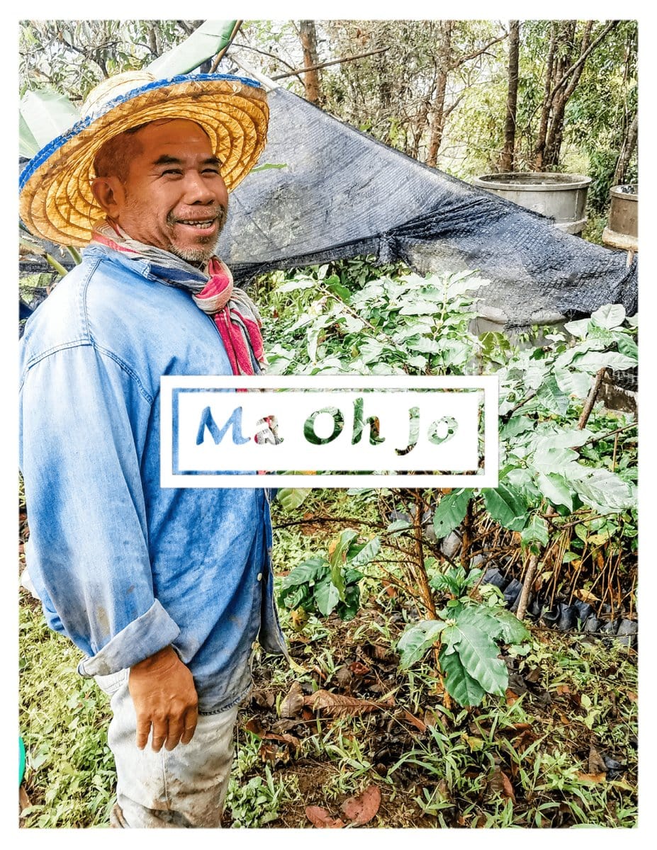 Lanna Coffee Co. Coffee 12 oz. Whole Bean Ma Oh Jo