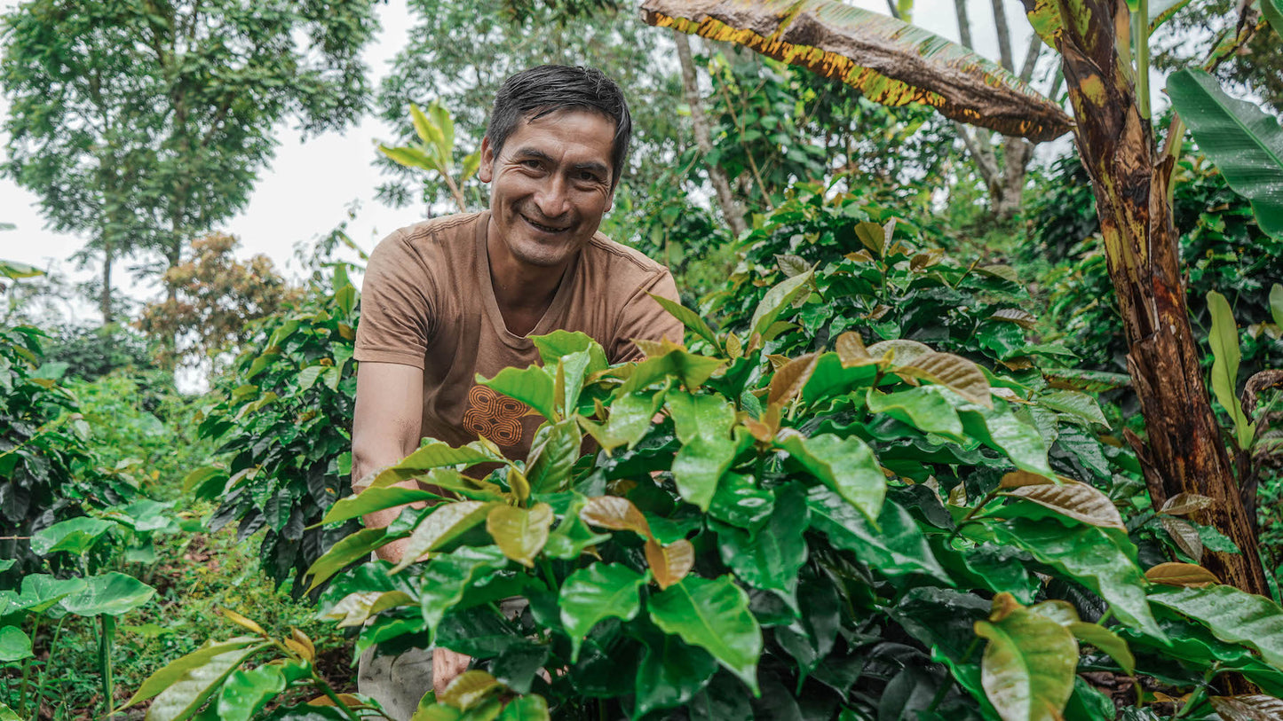 Introducing Peru Aprocassi: A Journey of Sustainability and Delicious Flavors