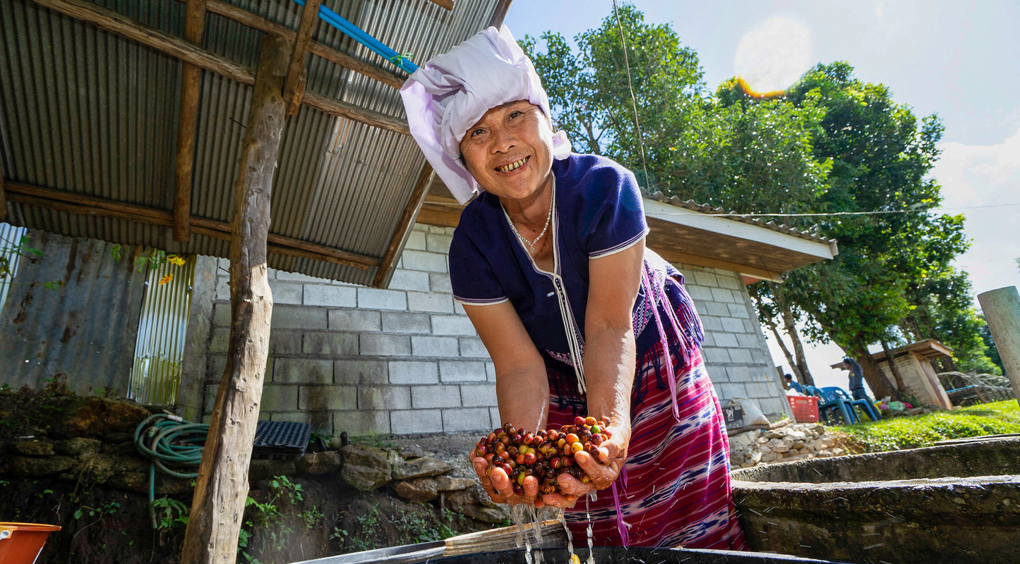 The Flavorful Journey of Huay Mak: Where Coffee and Community Thrive