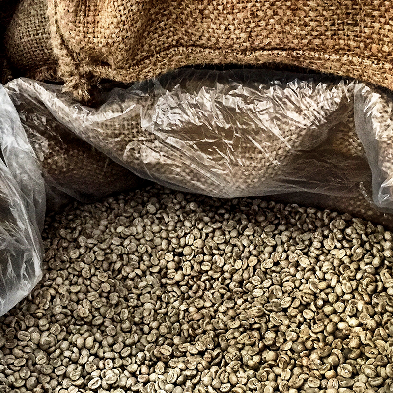 direct trade green coffee beans