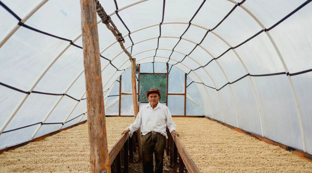 Discover the Rich Flavors of Honduras Marcala Select: A Coffee Like No Other - Lanna Coffee Co.