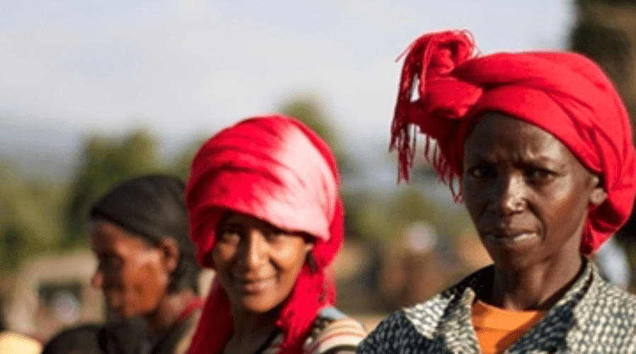 Ethiopia Yirgacheffe: A Return to Coffee’s Origins - Lanna Coffee Co.