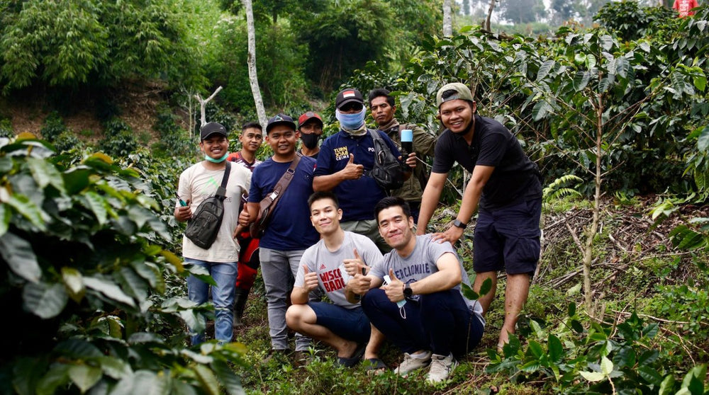 Introducing a Java Gem: Argopuro's Natural Hydro Honey Process Coffee - Lanna Coffee Co.