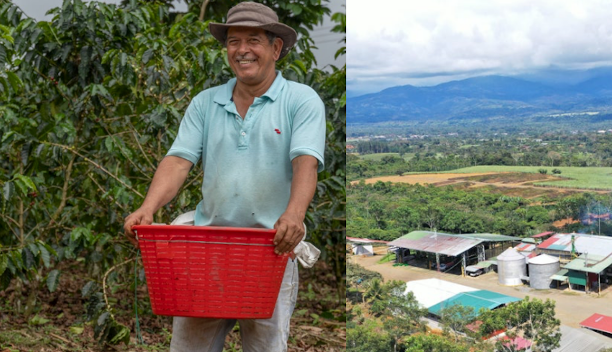Introducing Costa Rica San Jorge Washed - Lanna Coffee Co.