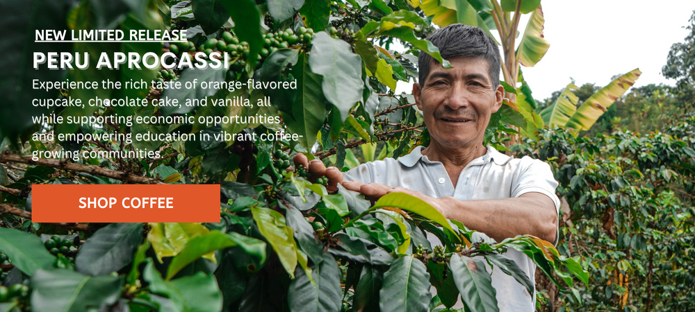 aprocassi cooperative farmer standing next to coffee tree